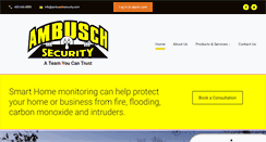 Desktop Screenshot of ambuschsecurity.com