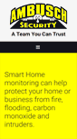 Mobile Screenshot of ambuschsecurity.com
